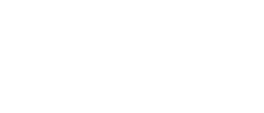 SECTOR RUSH